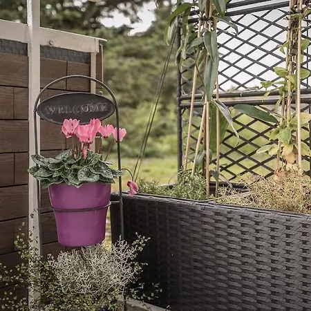 Schoene Lichtdurchflutete Ferienwohnung Mit Balkon Hagen  Esterno foto